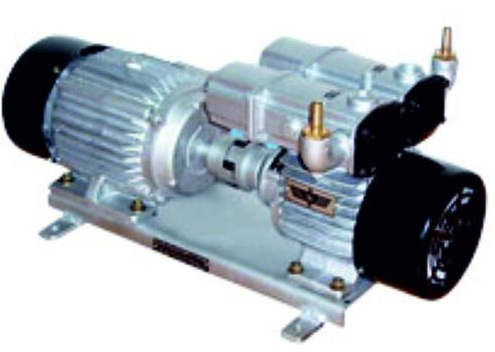 Dry vacuum pump