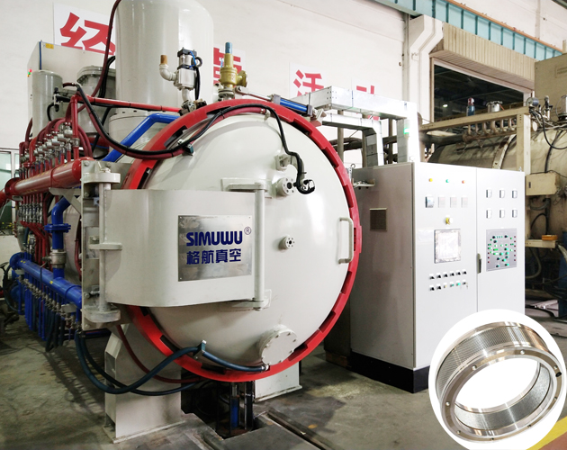 Vacuum Furnace for Ring Die Processing